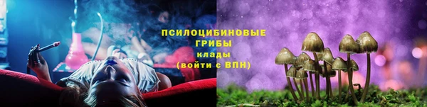 spice Алексин