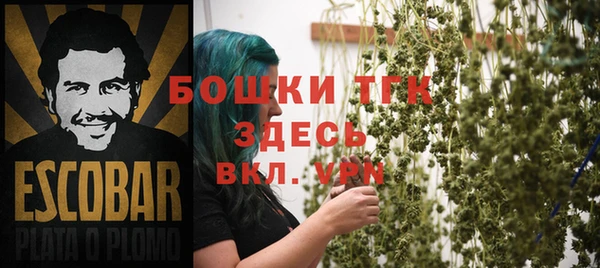 apvp Алзамай