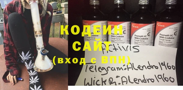 apvp Алзамай