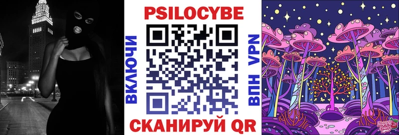 Галлюциногенные грибы Psilocybine cubensis  Благовещенск 